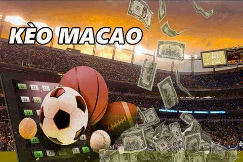freebet yaass casino 