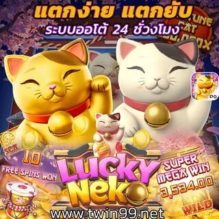 lucky neko sushi bowls & more 